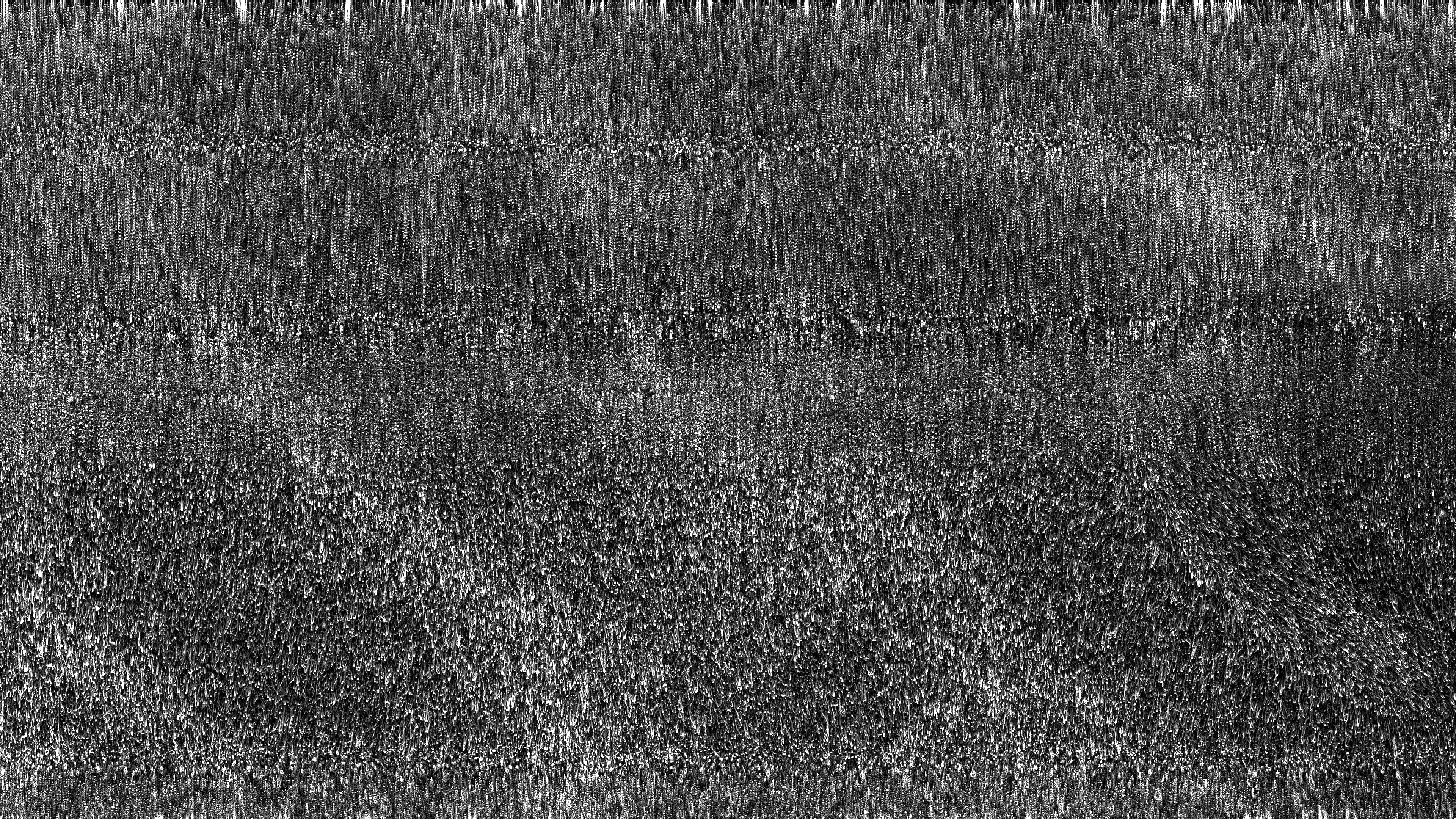 Anomalia